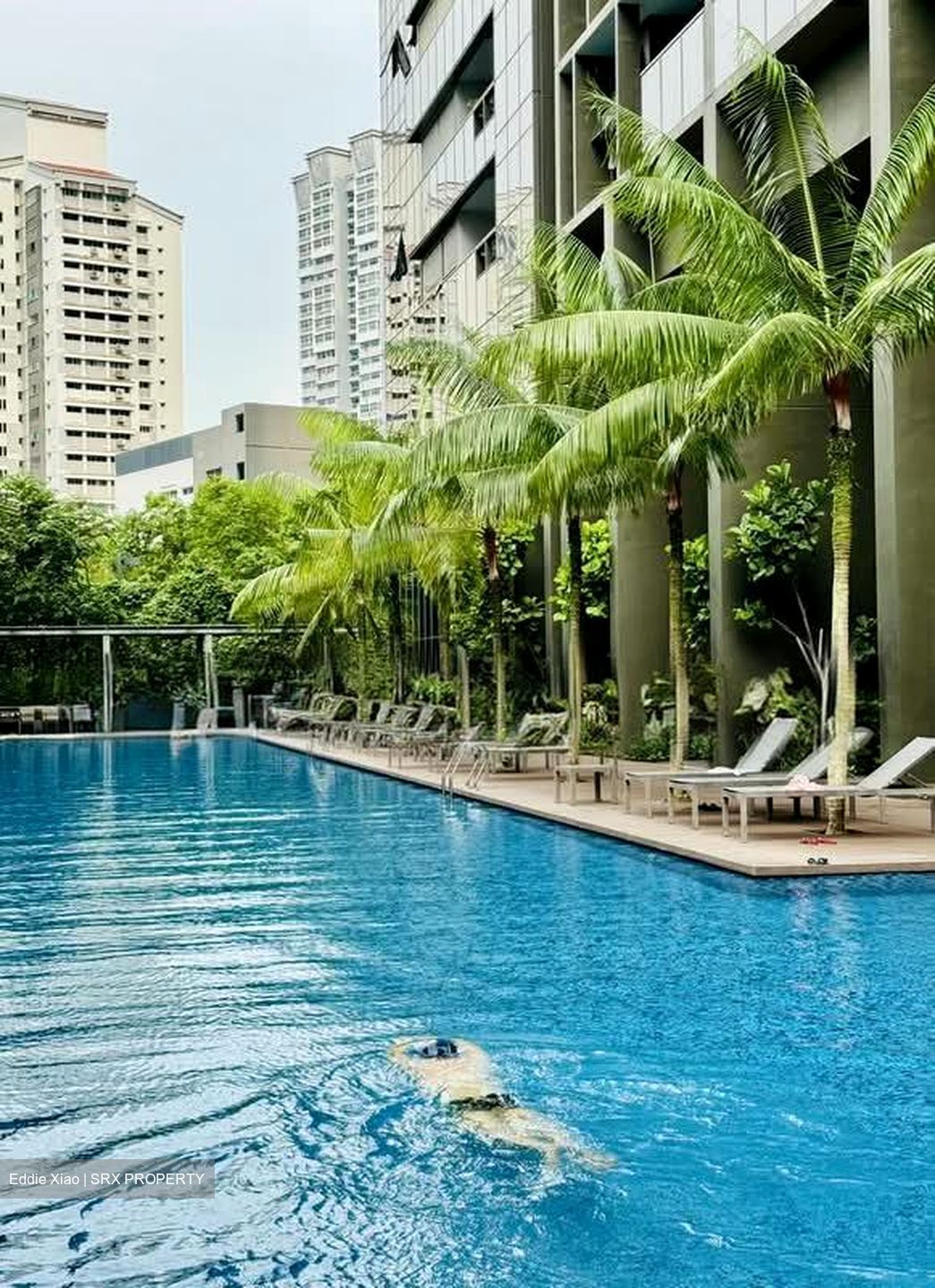 Commonwealth Towers (D3), Condominium #533942931